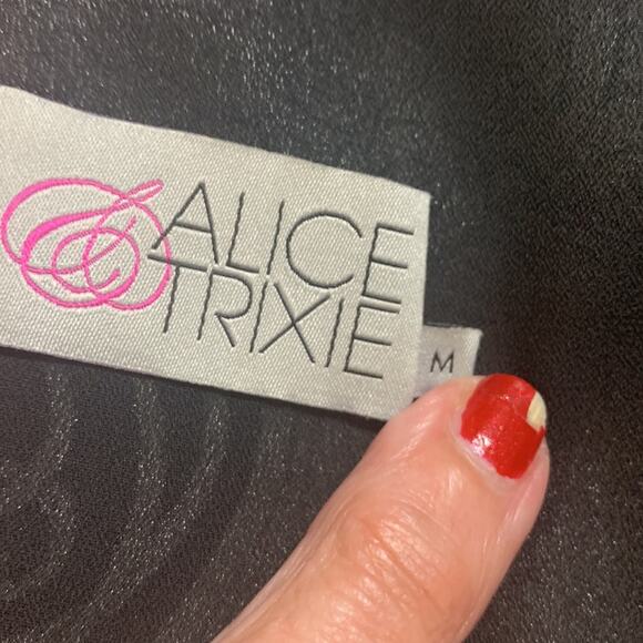 Alice & Trixie paisley silk shift dress, mod, 60s style, rich girl, medium - Picture 6 of 7